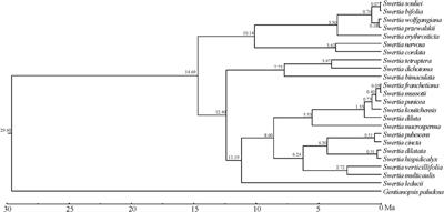 Comparative chloroplast genome analyses of 23 species in Swertia L. (Gentianaceae) with implications for its phylogeny